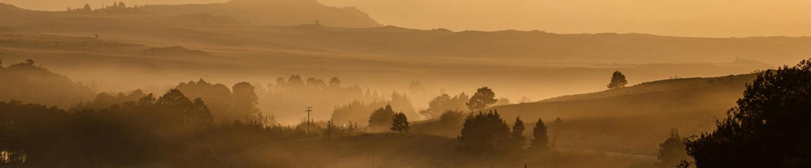 Misty sunrise over a serene valley with trees and rolling hills, creating a tranquil scene.